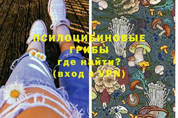 круглые Абаза
