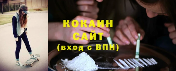 гидра Алексин