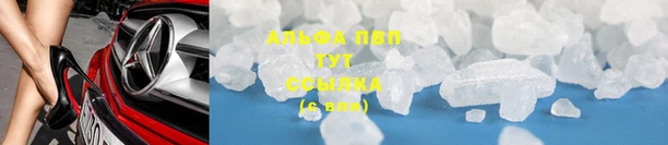 гидра Алексин