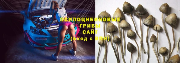 круглые Абаза