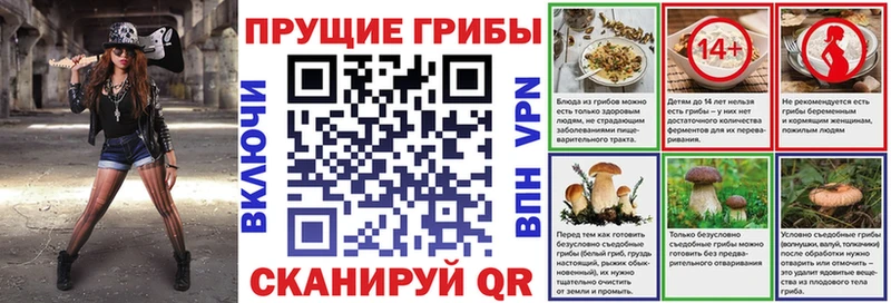 Псилоцибиновые грибы Psilocybine cubensis  Почеп 