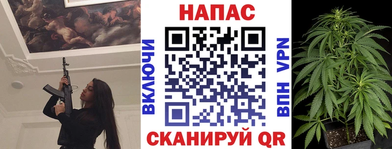 Бошки марихуана OG Kush  купить наркоту  Почеп 